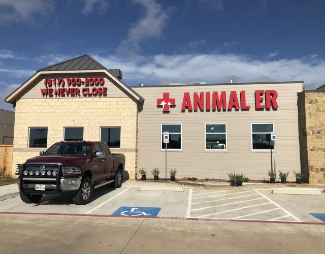 Burleson Animal Emergency Hospital 6