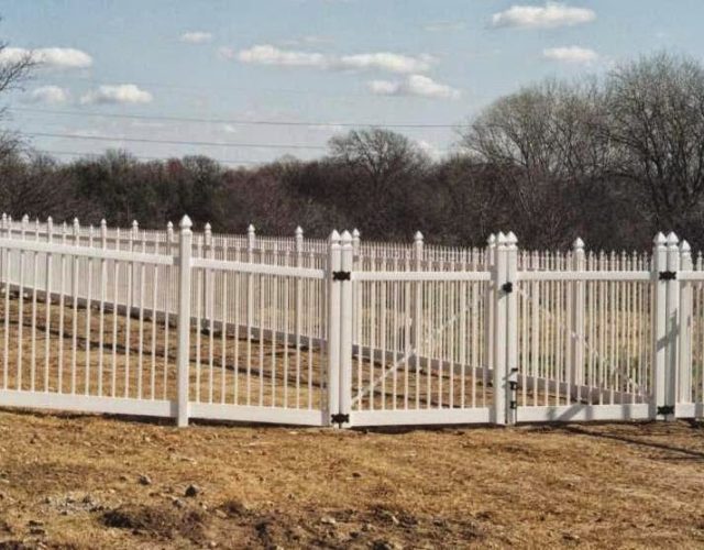 Buzz Custom Fence 4