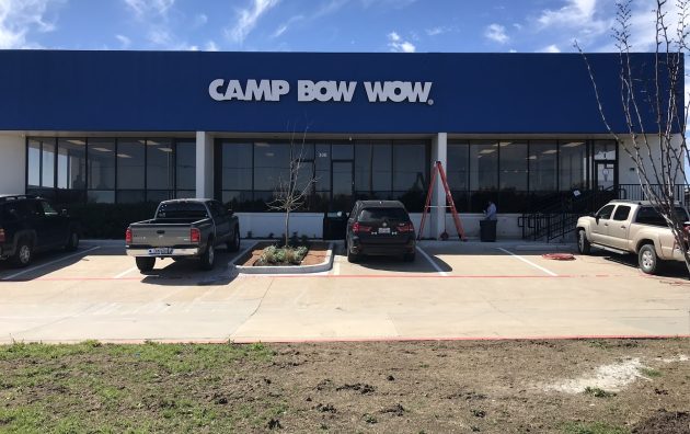 Camp Bow Wow 6