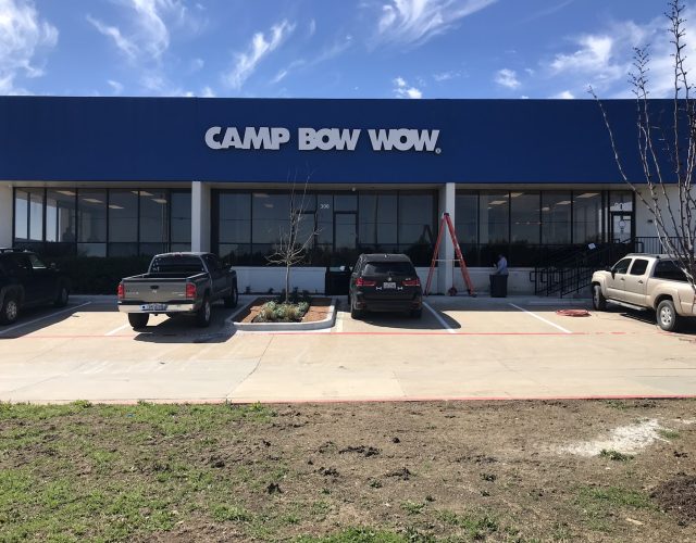 Camp Bow Wow 6