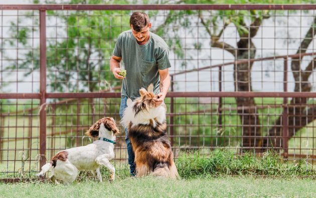 Canine Country Club and Wellness Center 6