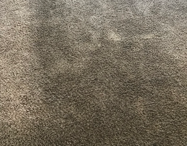 Carpet cleaning Dallas texas 25 per room 5