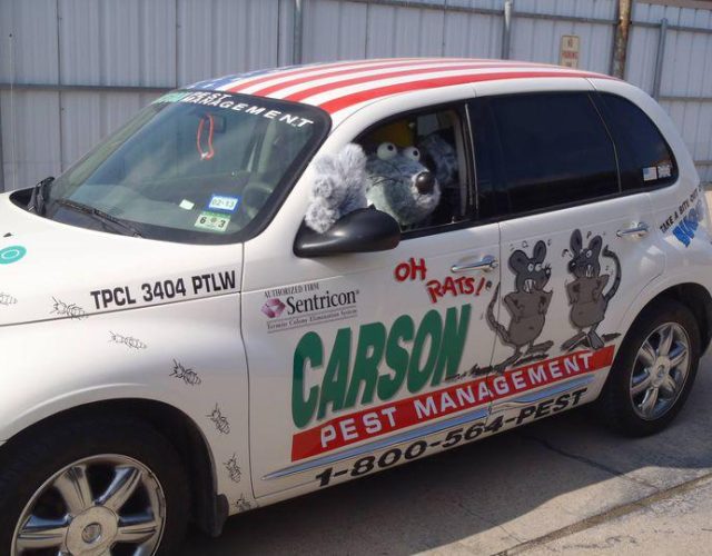 Carson Pest Management 4