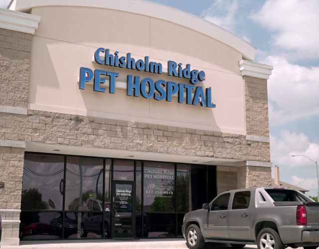 Chisholm Ridge Pet Hospital 6