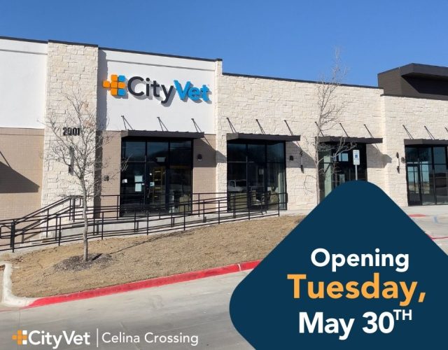 CityVet | Celina Crossing 4