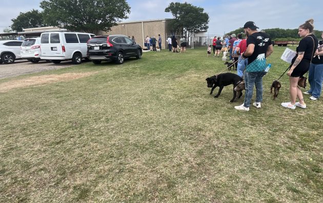 Cleburne Animal Services 4