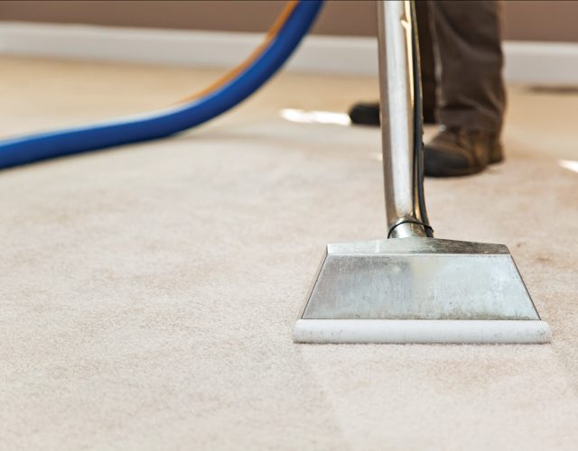 Colleyville Carpet Cleaning 3