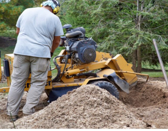 Colleyville Tree Service & Stump Grinding 2