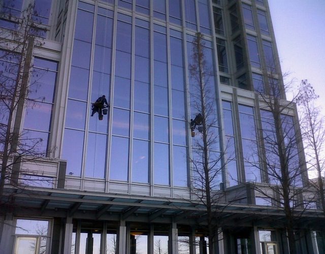 Collins Window Cleaning 3