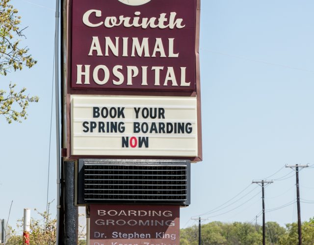 Corinth Animal Hospital 5