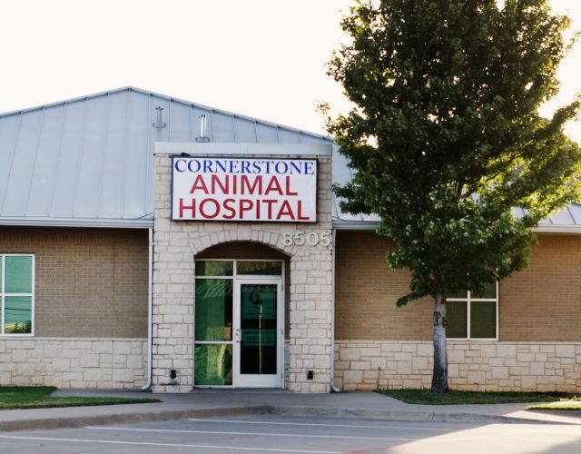 Cornerstone Animal Hospital 3