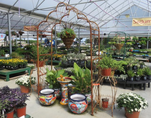 Covington’s Nursery and Landscape Co. 4