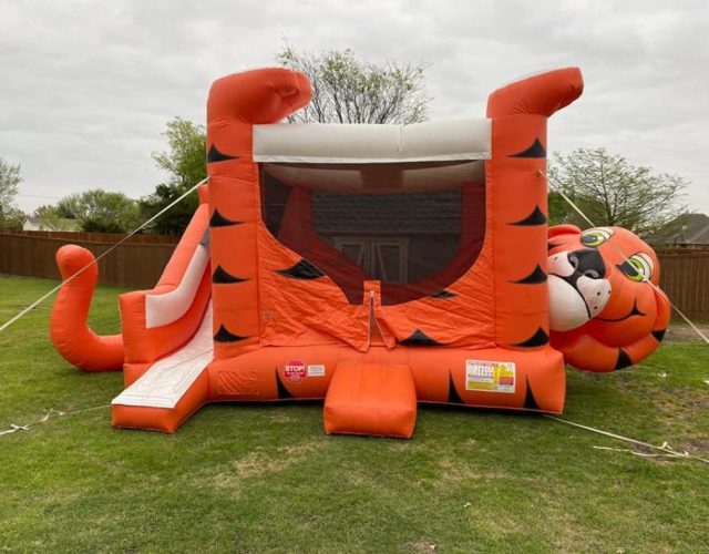 Cowboy Party Rentals 4