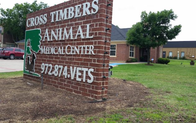 Cross Timbers Animal Medical Center 6