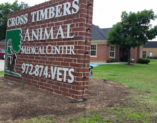 Cross Timbers Animal Medical Center 6