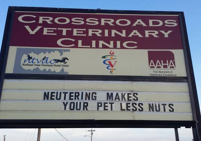 Crossroads Veterinary Clinic 3