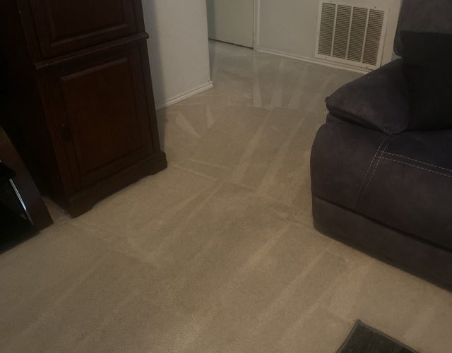 D & P Carpet Cleaning 4