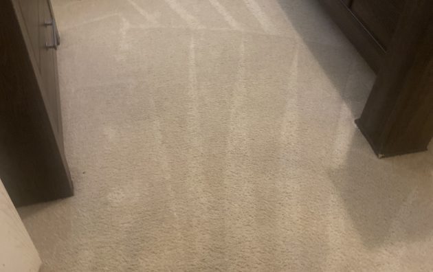 D & P Carpet Cleaning 6