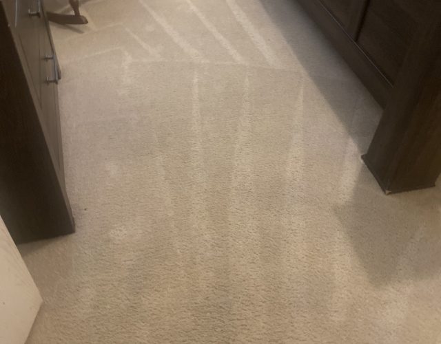 D & P Carpet Cleaning 6