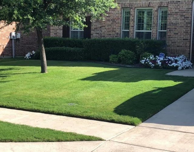 DeLeon Lawn Care & Landscaping 3