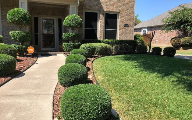 DeLeon Lawn Care & Landscaping 6