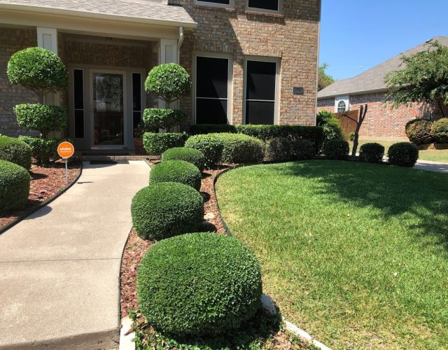 DeLeon Lawn Care & Landscaping 6