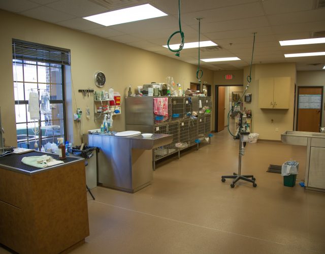 Denton Veterinary Center 3