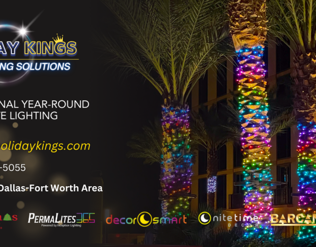 DFW Holiday Kings – Lighting Installers 4