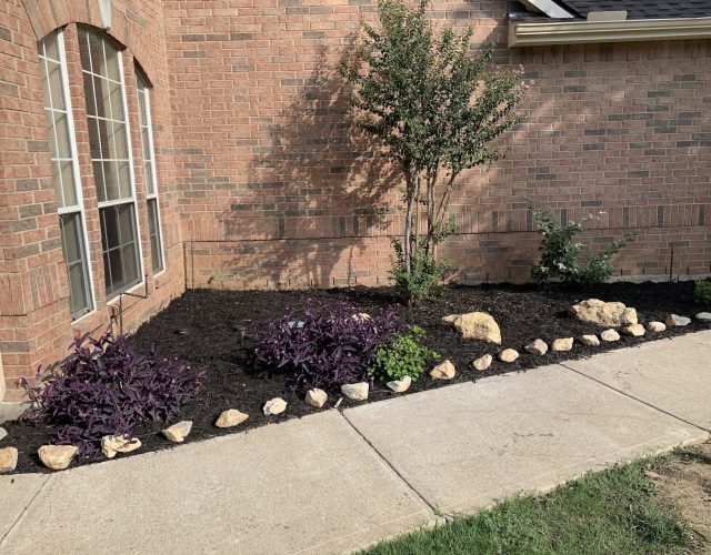 DFW Landscaping & Lawn Care 4