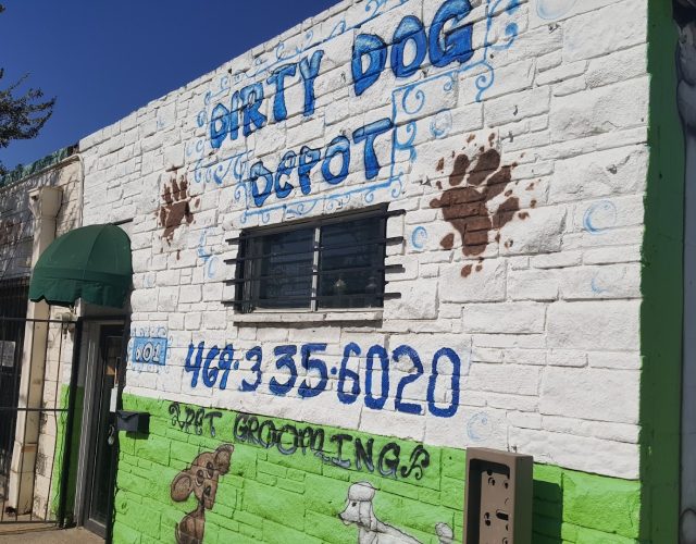 Dirty Dog Depot 3