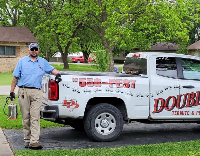 Double D Termite & Pest Control 4