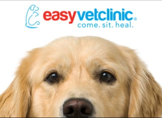 easyvet Veterinarian Forney 5