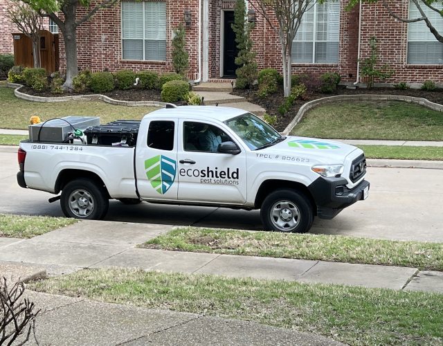 EcoShield Pest Solutions 6