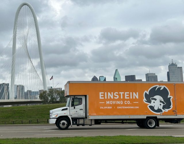 Einstein Moving Company 2