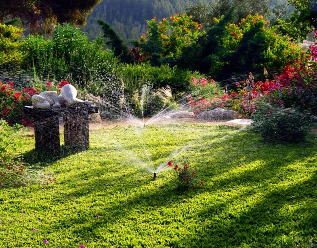 Emerald Cut Lawn & Landscape, Inc. 4