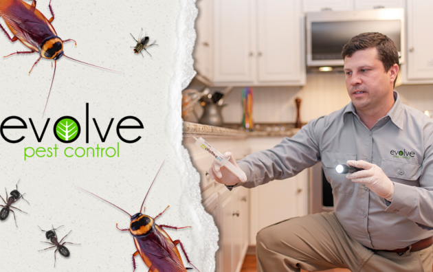 Evolve Pest Control 6