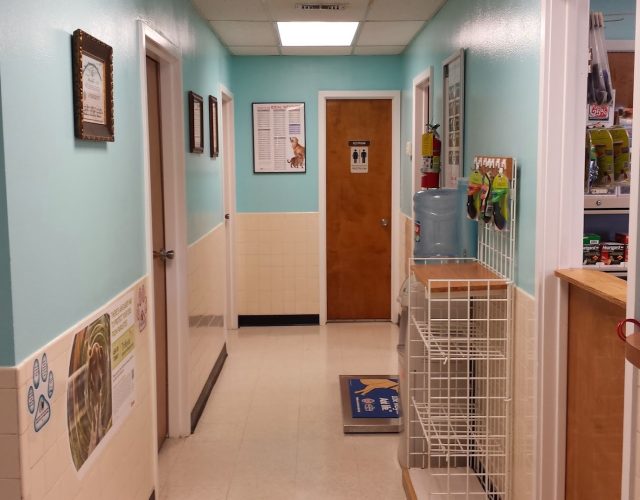 Family Pet Clinic of Richland Hills 2