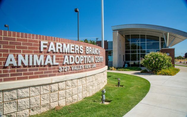 Farmers Branch Animal Adoption Center 6