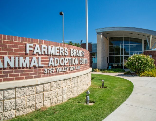 Farmers Branch Animal Adoption Center 6