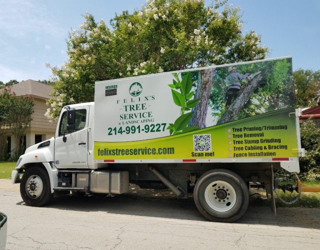 Felix’s Tree Service 5