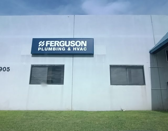 Ferguson 3