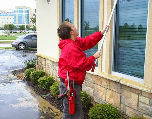 Fish Window Cleaning 4