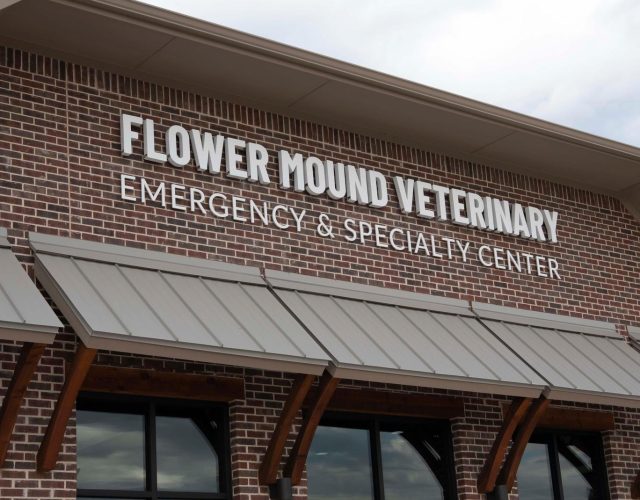 Flower Mound Veterinary Emergency & Specialty Center 4