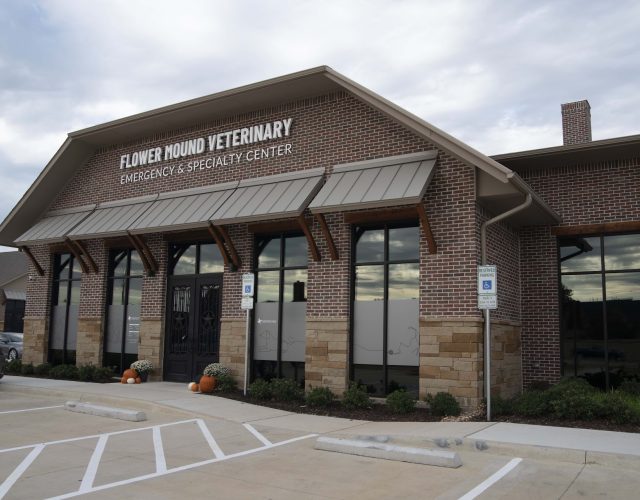 Flower Mound Veterinary Emergency & Specialty Center 6