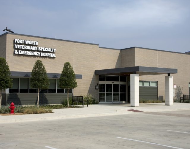 Fort Worth Animal Emergency Hospital 4