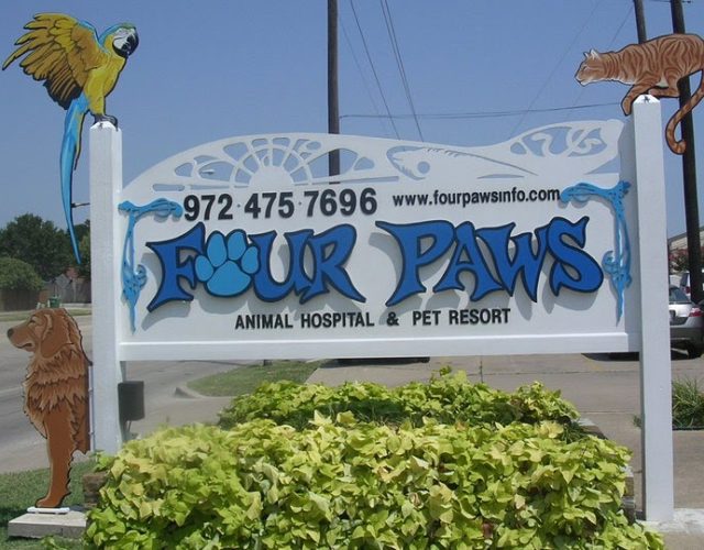 Four Paws Animal Hospital 4