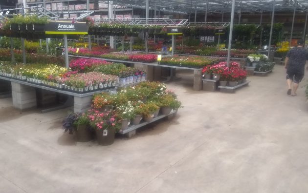 Garden Center at The Home Depot 4