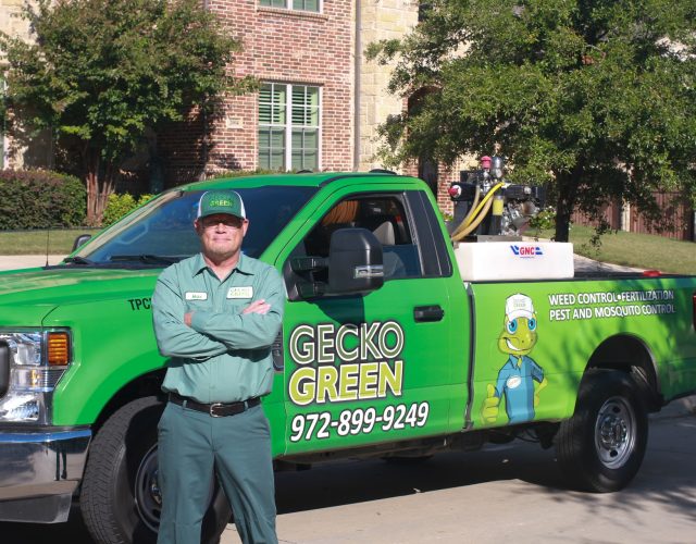 Gecko Green Lawn Care & Pest Control 6