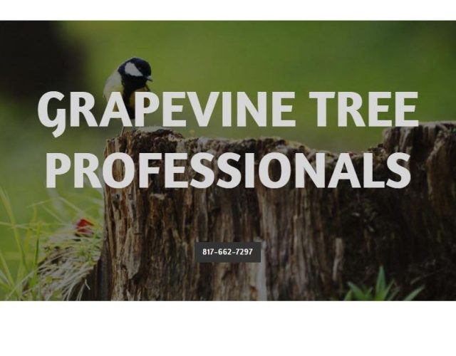 Grapevine Tree Professionals 5