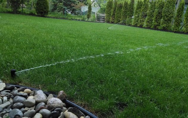 Green City Landscape and Lawn Care LLC 6